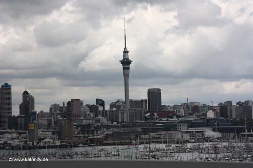 IMG_8049