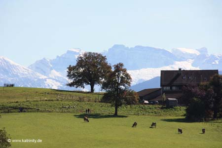 IMG_2262